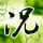 中方：美方打压遏制中国已到疯狂程度